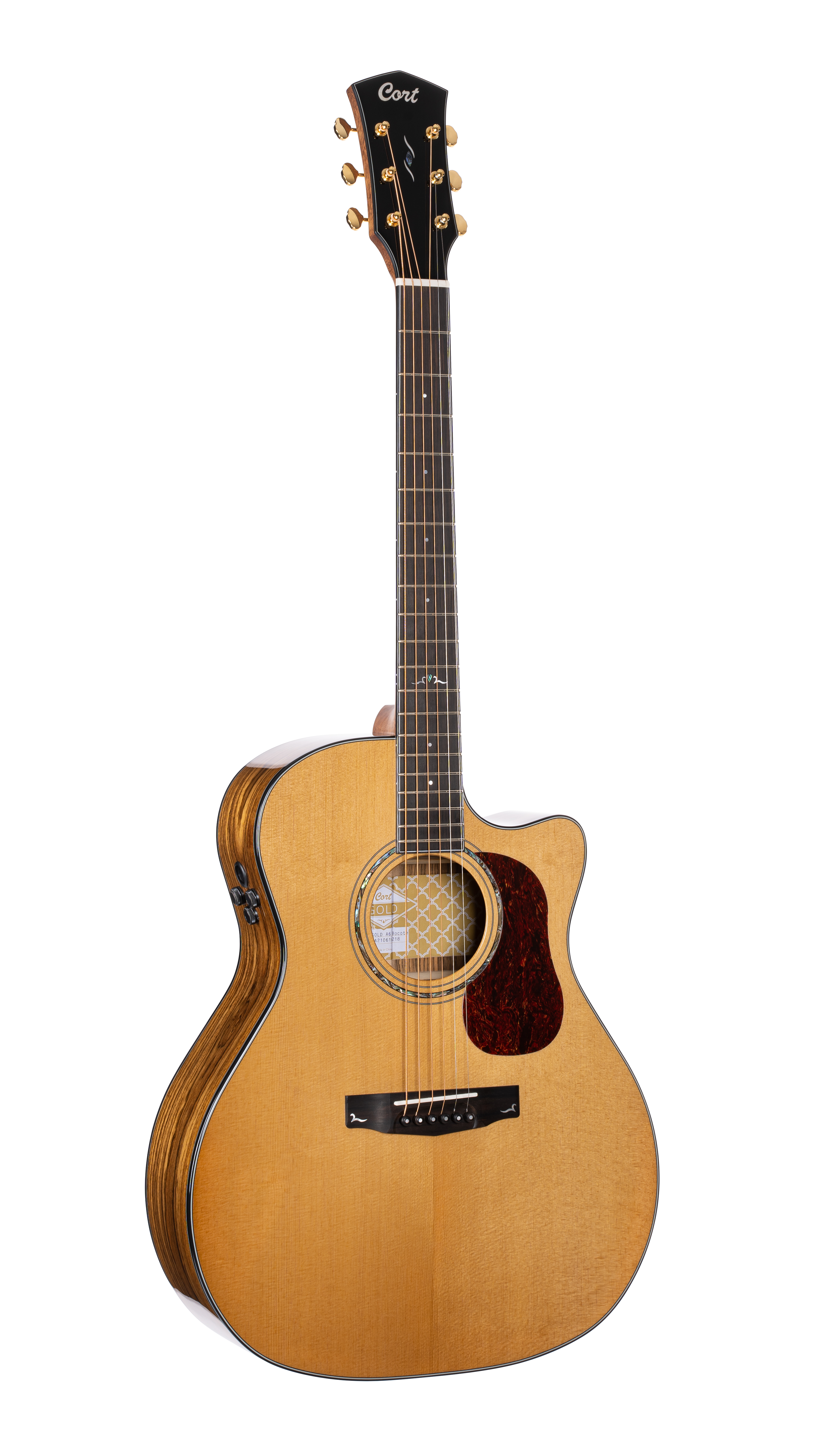 GUIT. ACUST. Gold-A6 Bocote NA