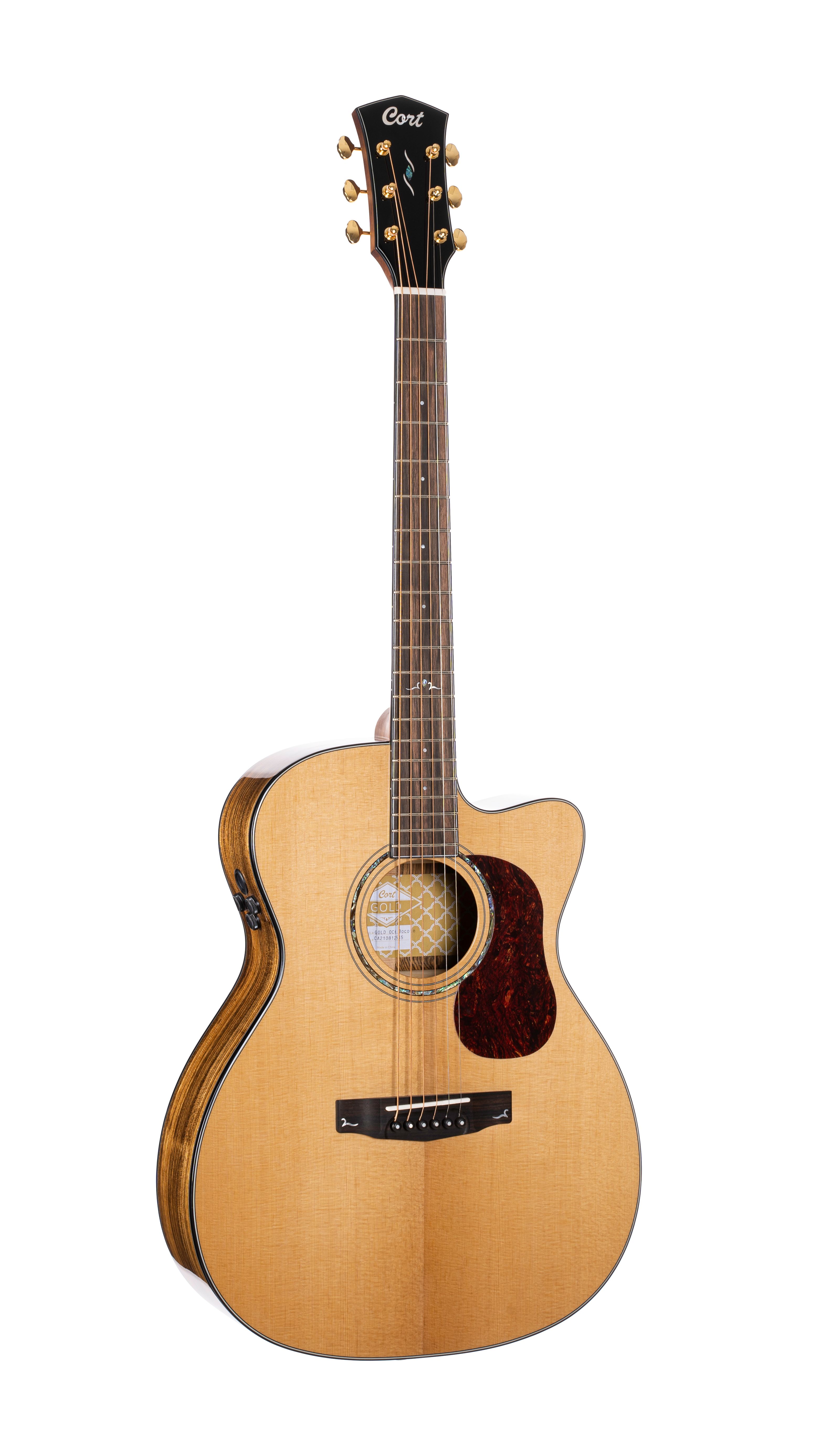 GUIT. ACUST. Gold OC6-Bocote N