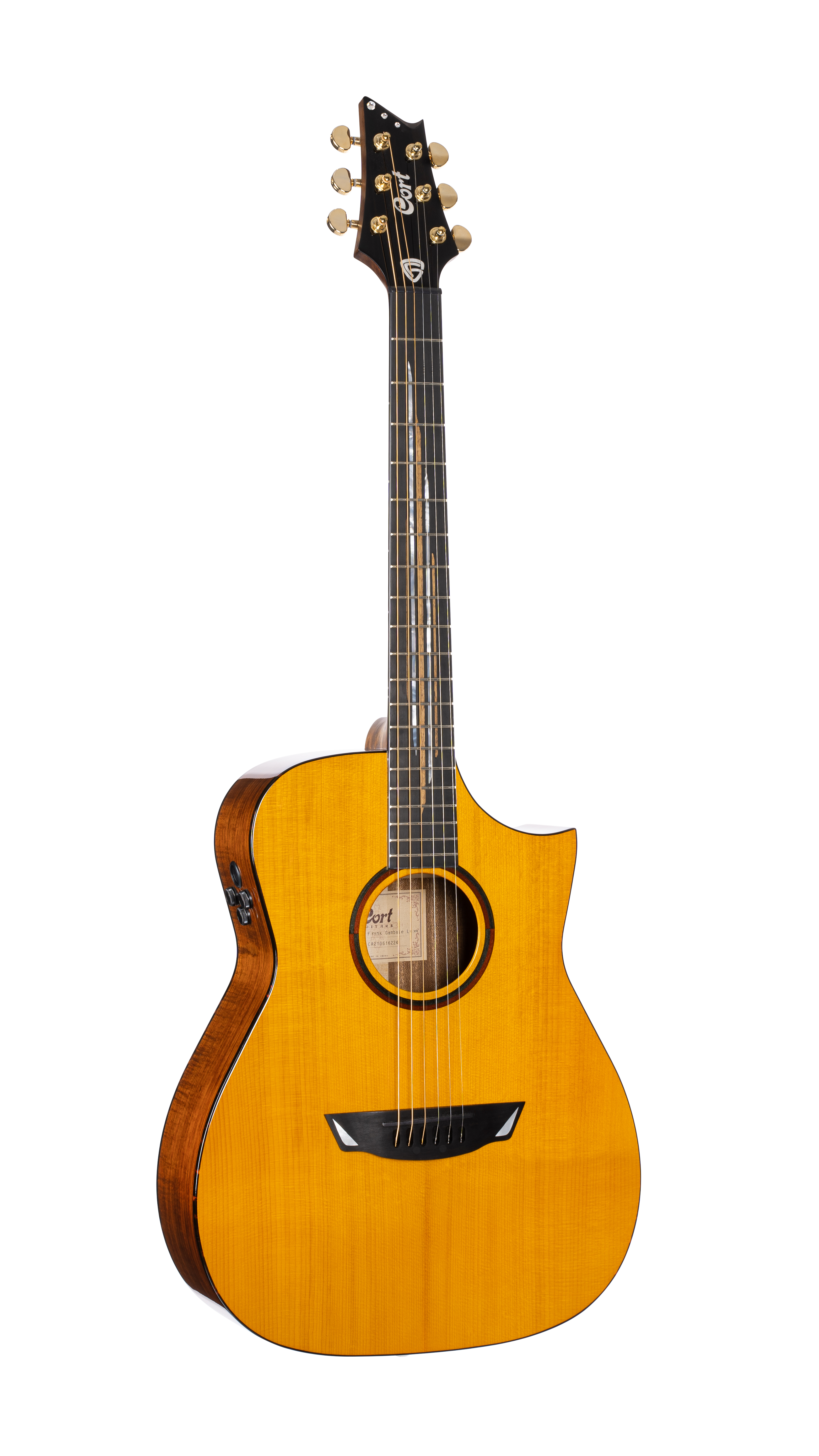 GUIT. ACUST.Frank Gambale Luxe