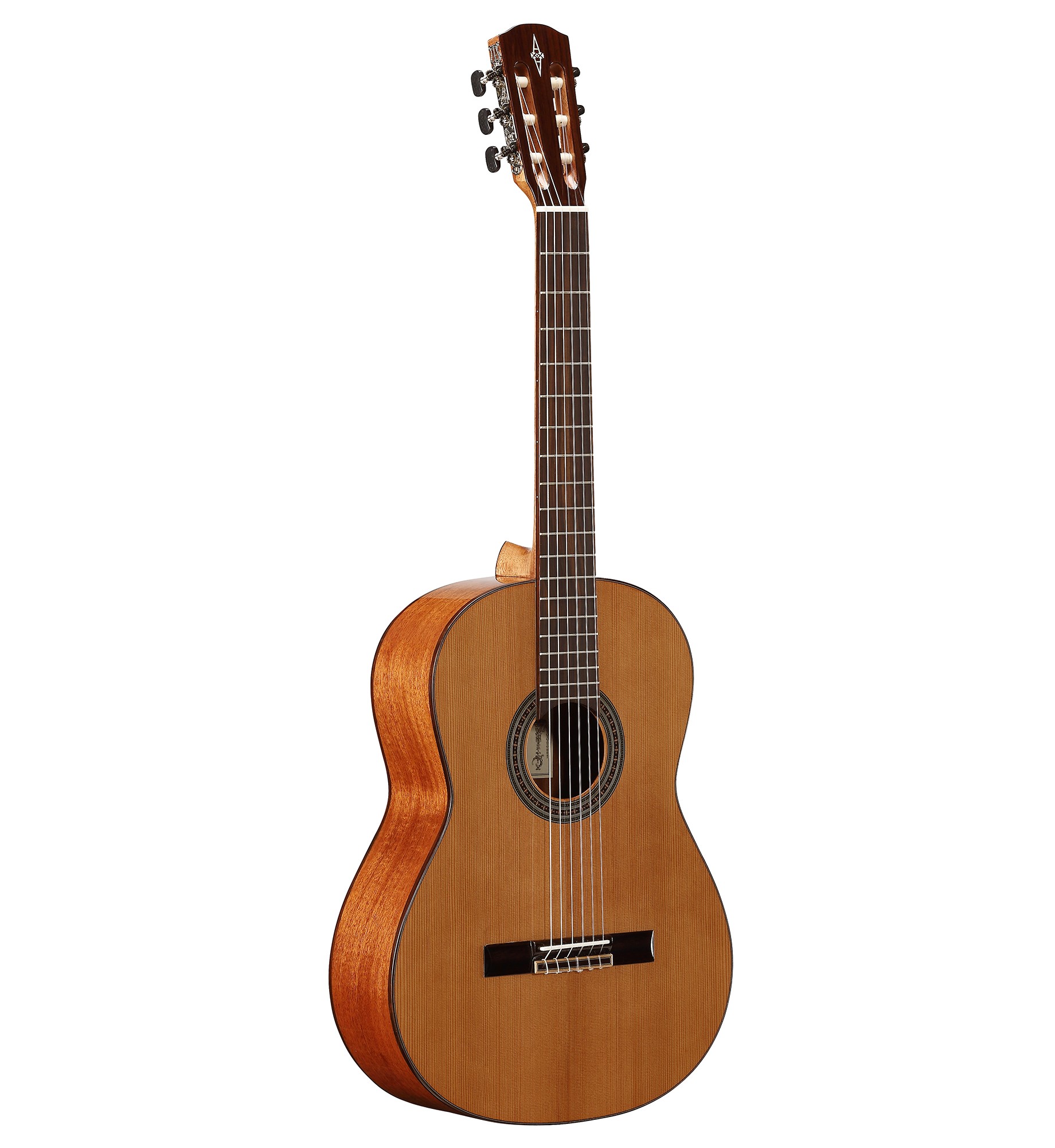 GUIT ACUST AC65 ARTIST