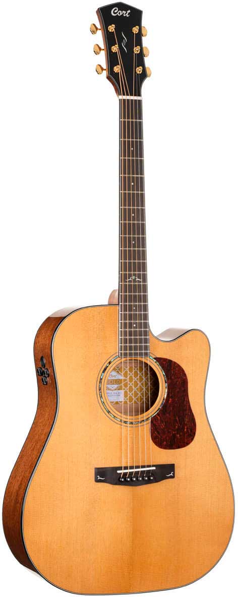 GUIT ACUST GOLD-DC6 NAT W/CASE