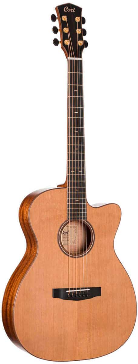 GUIT ACUST FLOW-OC NS W/CASE