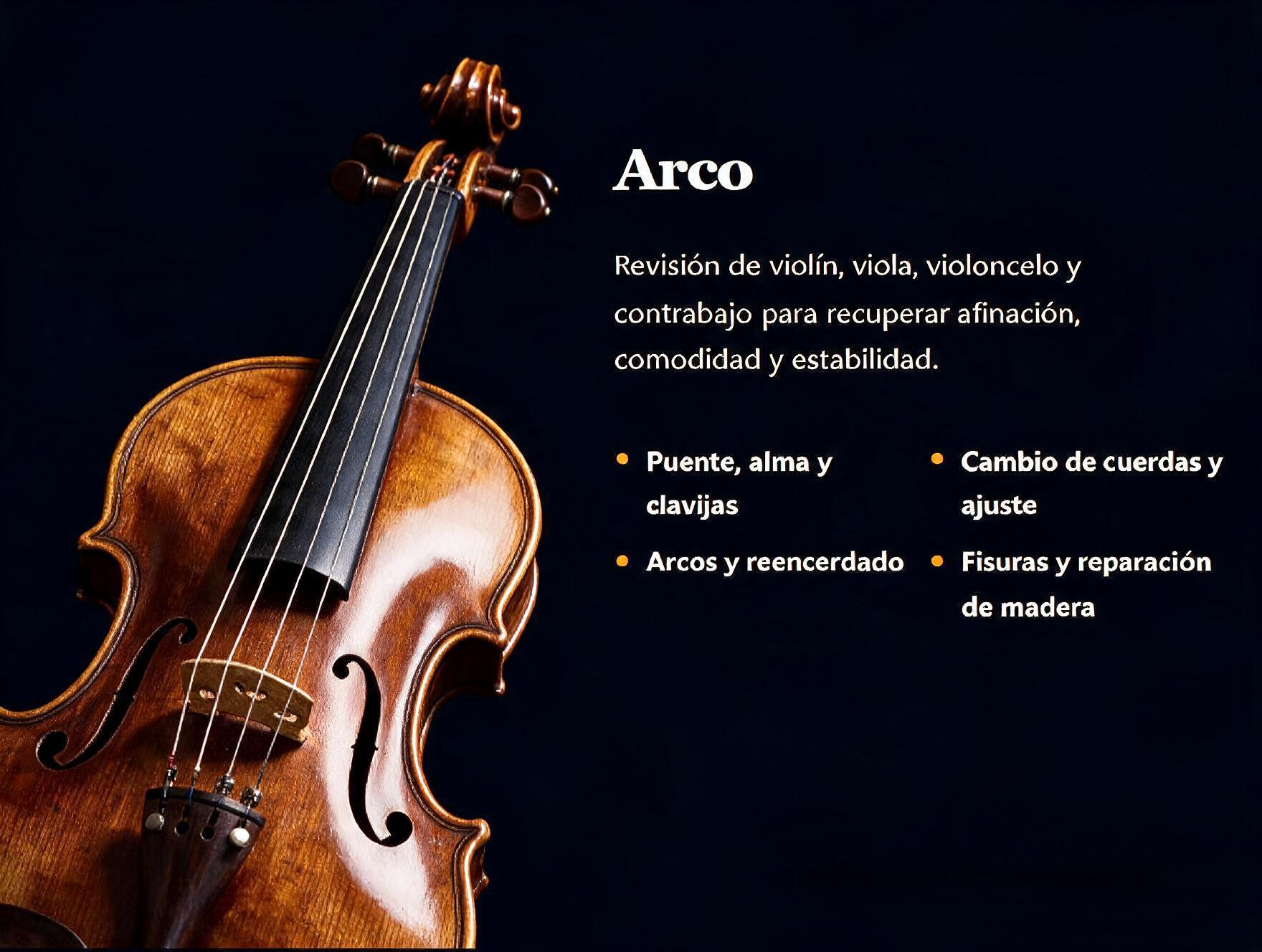 Instrumentos de arco atendidos en el taller