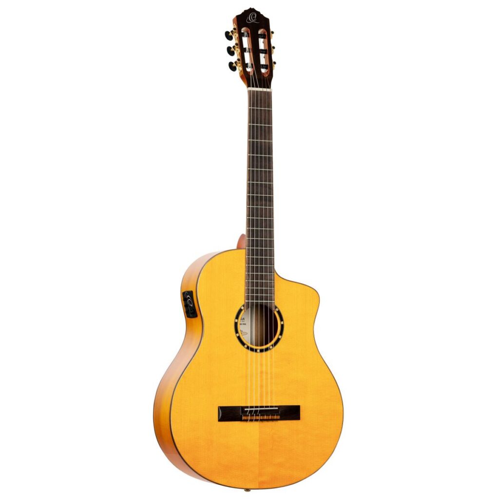 FLAMENCO GUITAR, ELECTRONIC RC