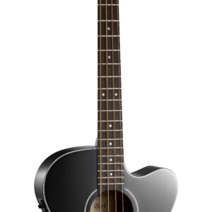BAJO ACUST AB850F BK w/bag