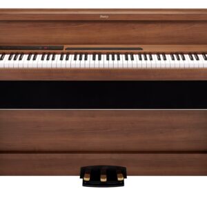 PIANO DIG POETRY