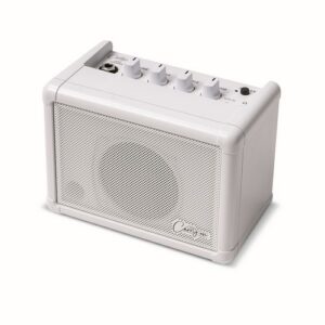 MINI SPEAKER BASED ON THE FLY-