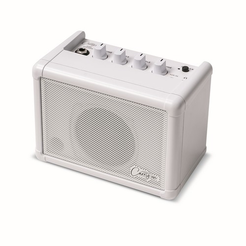 MINI SPEAKER BASED ON THE FLY-