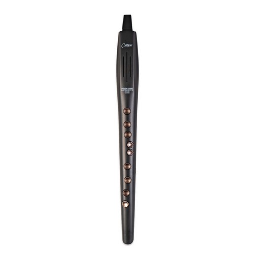 DIGITAL WIND INSTRUMENT PLUS B