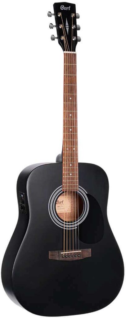 GUIT ACUST AD810 E BKS w/bag