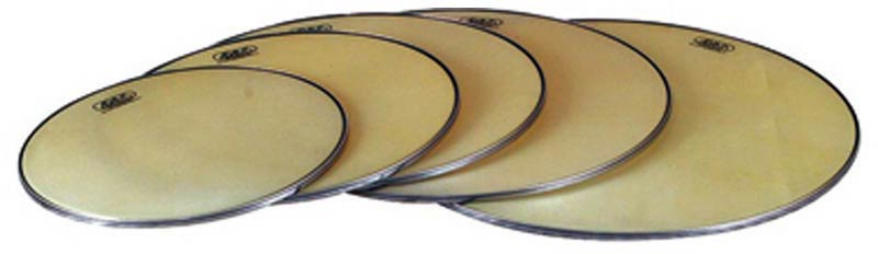 PARCHE TIMBAL RENAISSANCE  26'