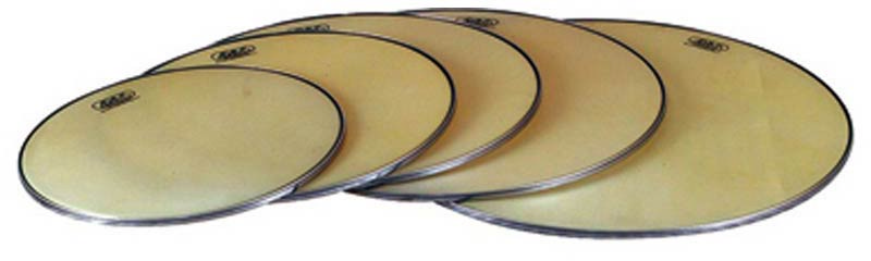 PARCHE TIMBAL RENAISSANCE 29'U